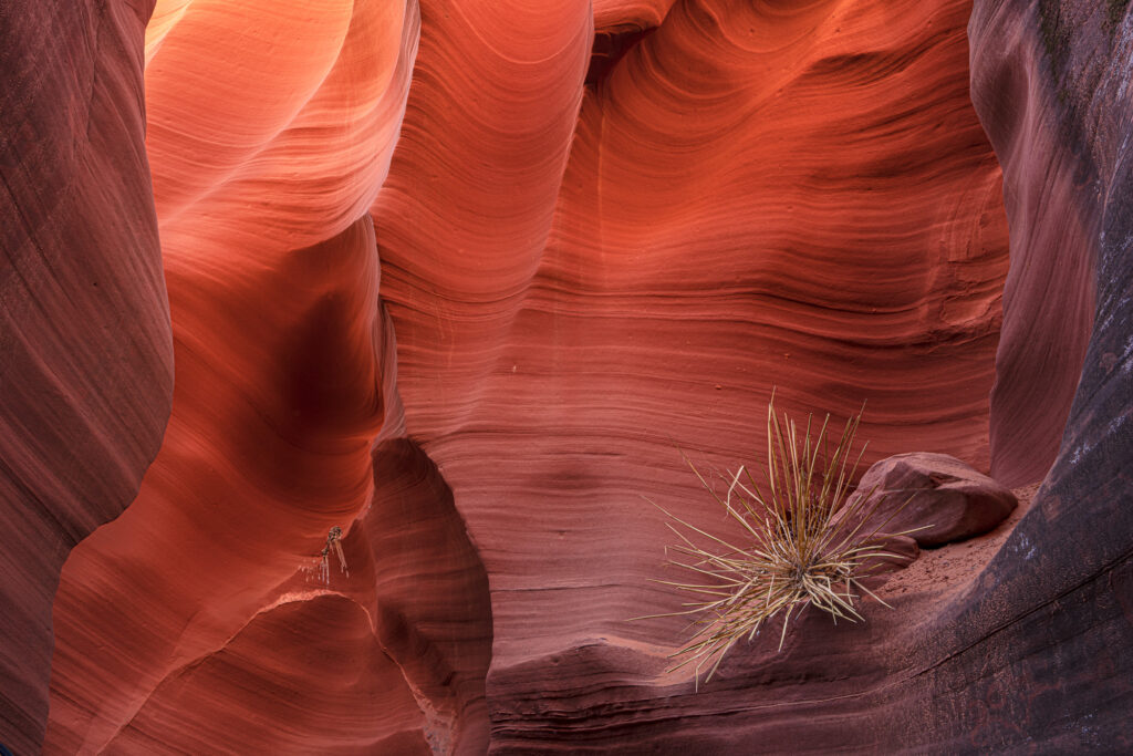 Carved by wind and water, Arizona&rsquo;s slot canyons feel ancient and mystical.