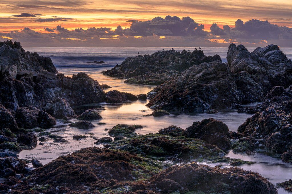 The rocky shores of Northern California's coasts turn into otherworldly landscapes in the evening light
