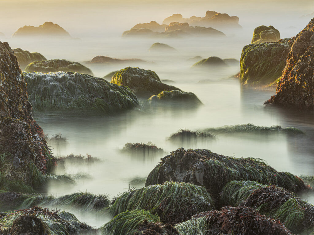 The rocky shores of Northern California's coasts turn into otherworldly landscapes in the evening light