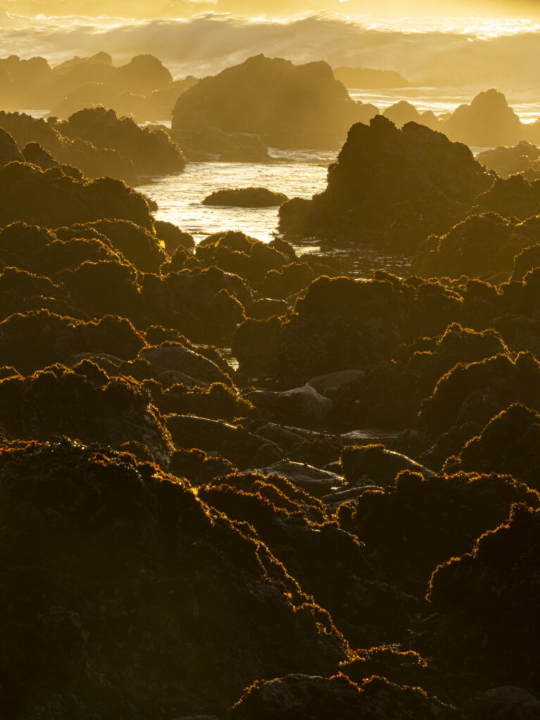 The rocky shores of Northern California's coasts turn into otherworldly landscapes in the evening light