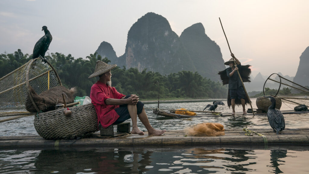 Cormarant fisherman in Erhai Lake in Yunnan province, China.
