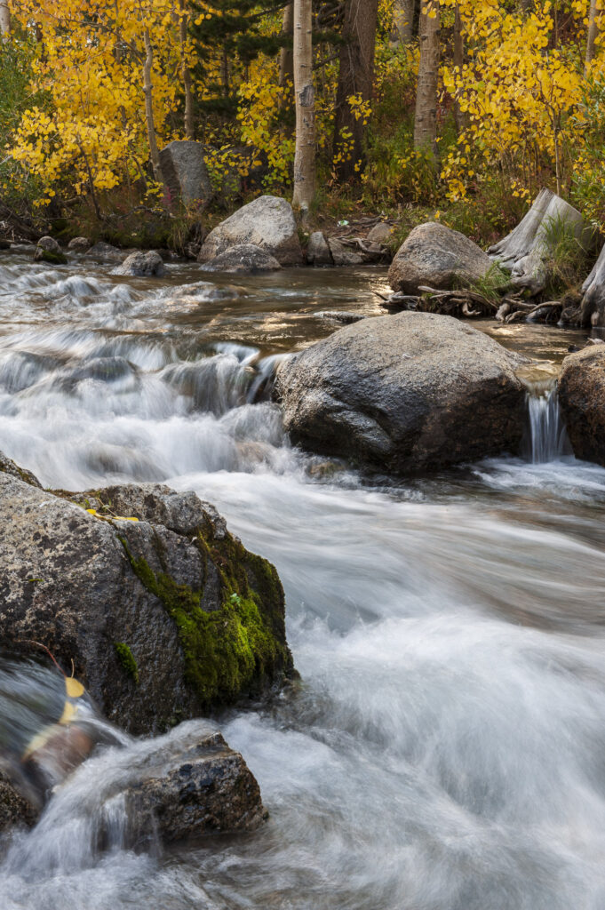 Fall color on a waterfall, Bishop, CA