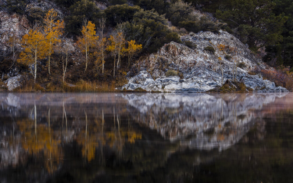 Fall color reflected in a lake in the Eastern Sierra