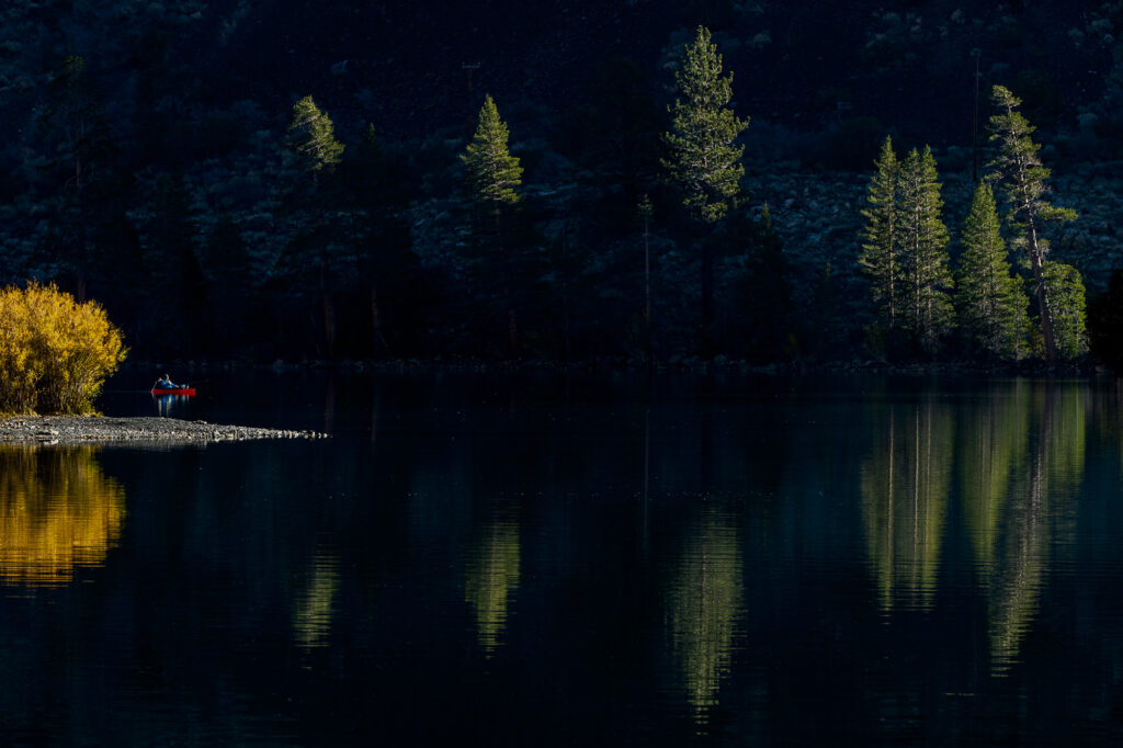 Fall color reflected in a lake in the Eastern Sierra