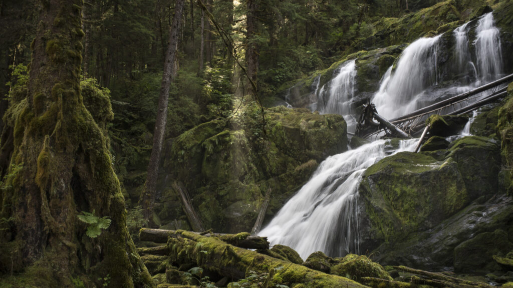 A waterfall in the Great Bear Rainforest  in British Columbia