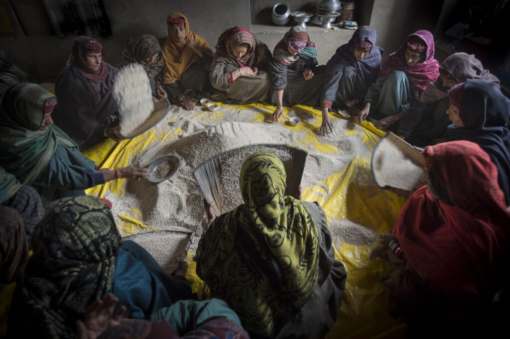 Gujar women sort grain in Kashmir.