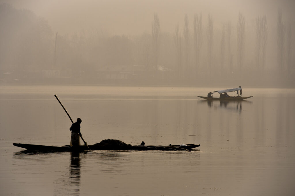 Morning on Dal Lake in Kashmir.