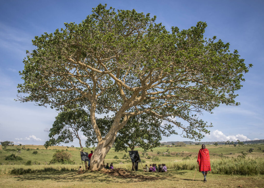 Education from an early age (even if school is under a tree) is building a bright future for Maasai children.