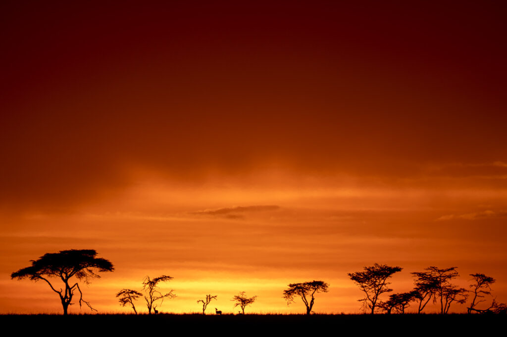 Sunset in Kenya's Masai Mara