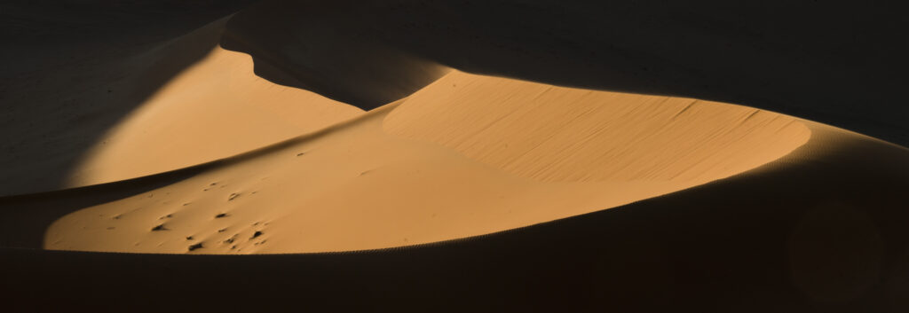 Sculpted dunes in the Namib Desert