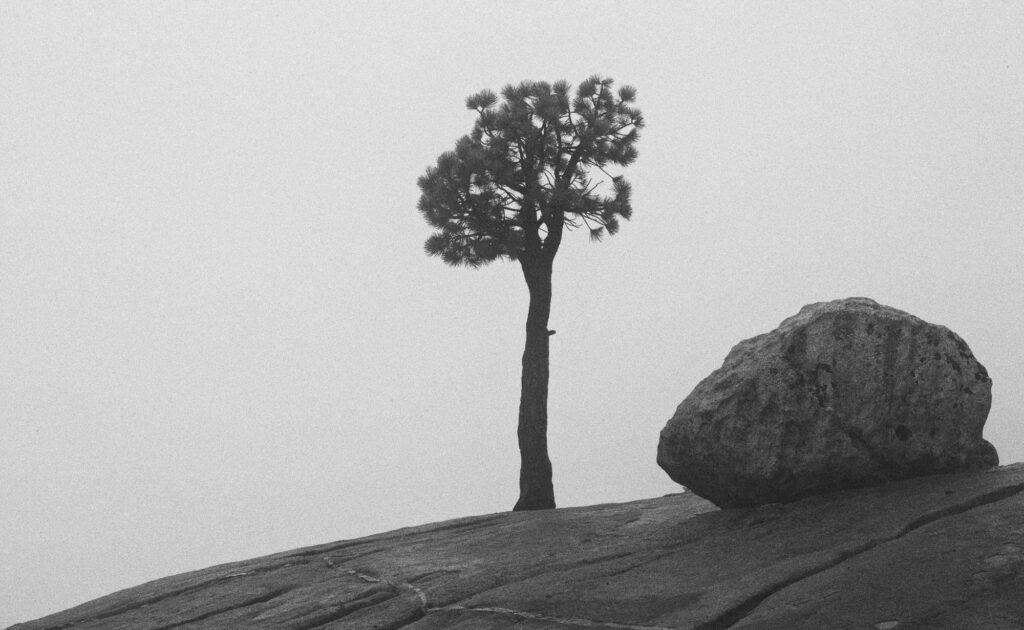 Foggy Morning at Olmstead Point, Yosemite