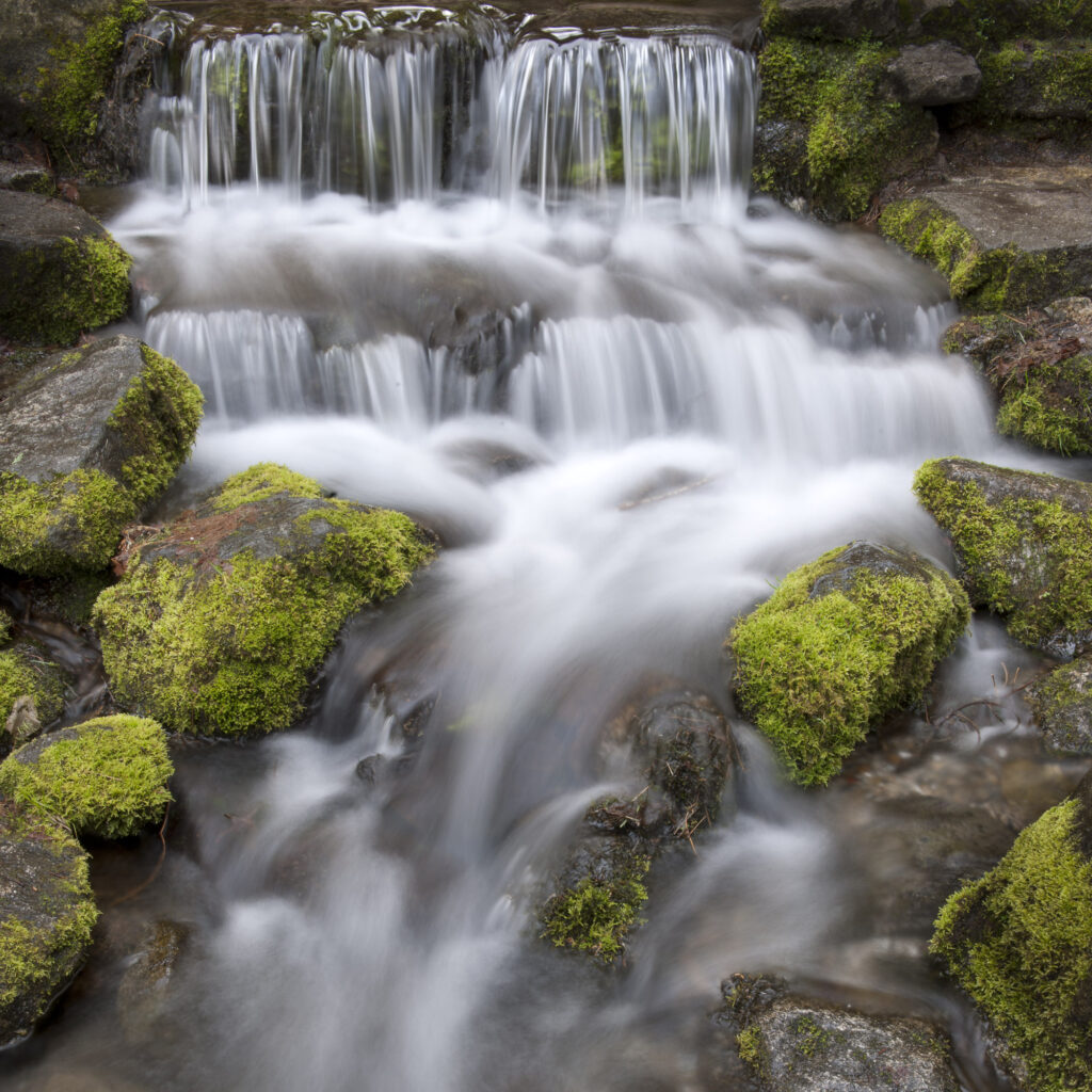 A tiny waterfall at Fern Spring in Yosemite Valley