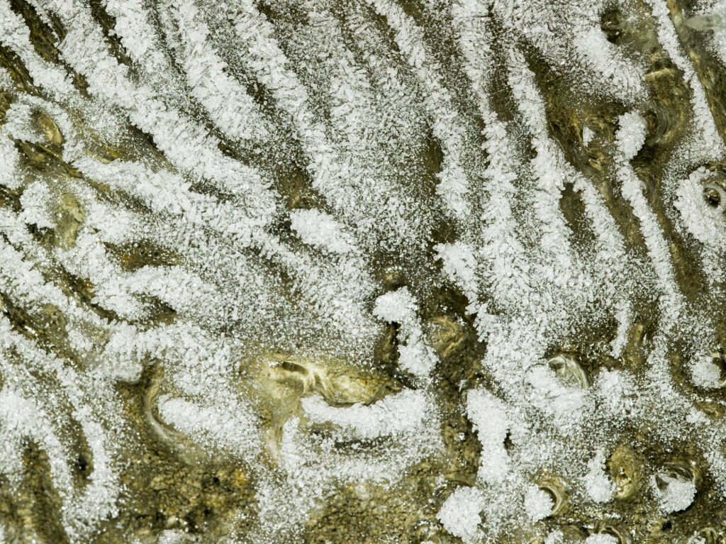 The intricate structure of ice inside an ice cave in Svalbard
