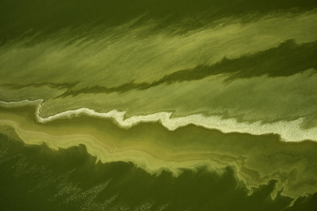 Algae interacts with the alkaline soda in Lake Magadi to create incredible patterns.