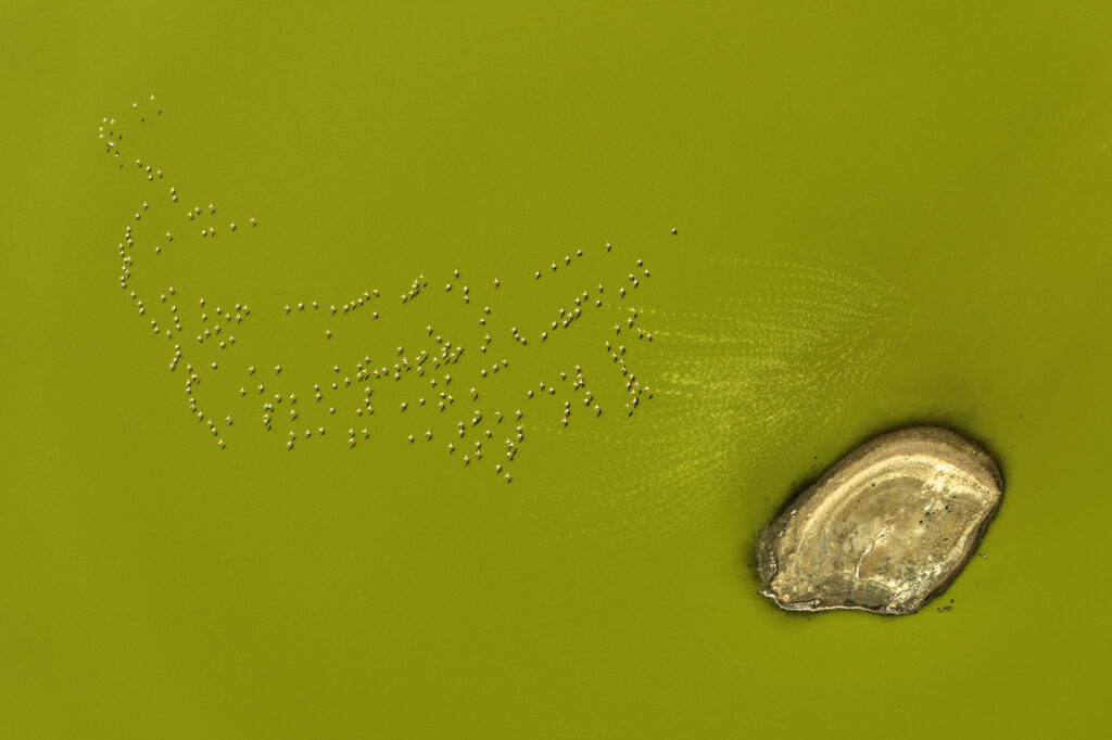 20240216-LakeMagadi-_DSC3395