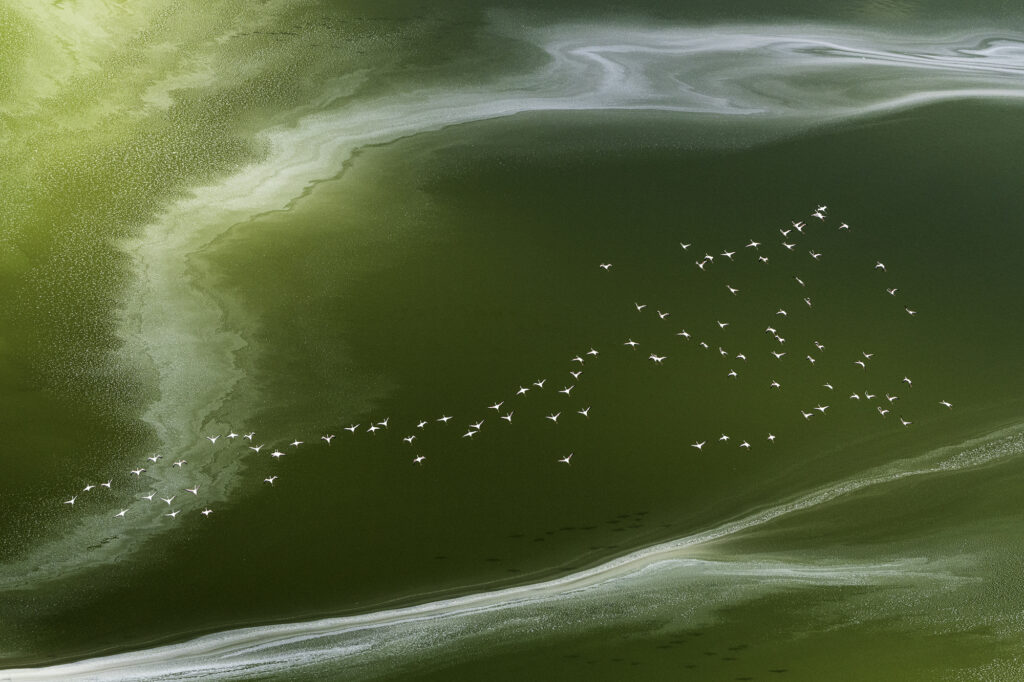 20240216-LakeMagadi-_DSC4134