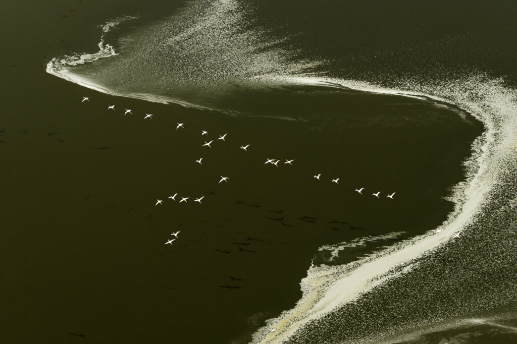 20240216-LakeMagadi-_DSC6170