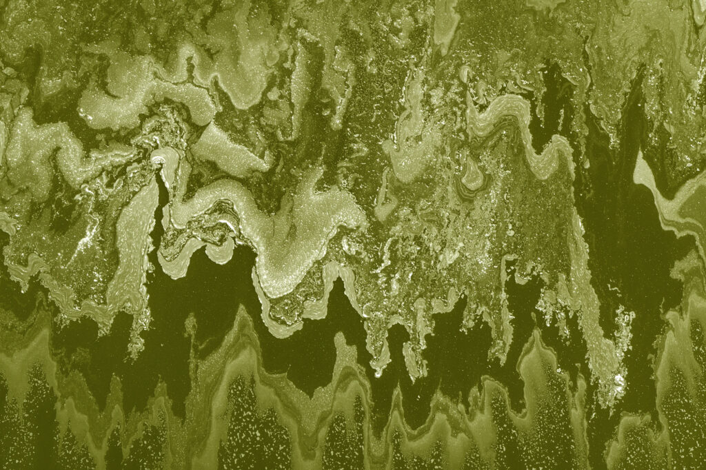 Algae interacts with the alkaline soda in Lake Magadi to create incredible patterns.