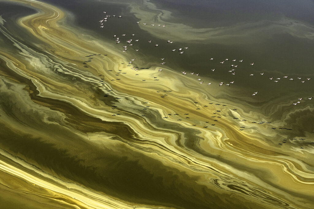20240217-LakeMagadi-_DSC8856