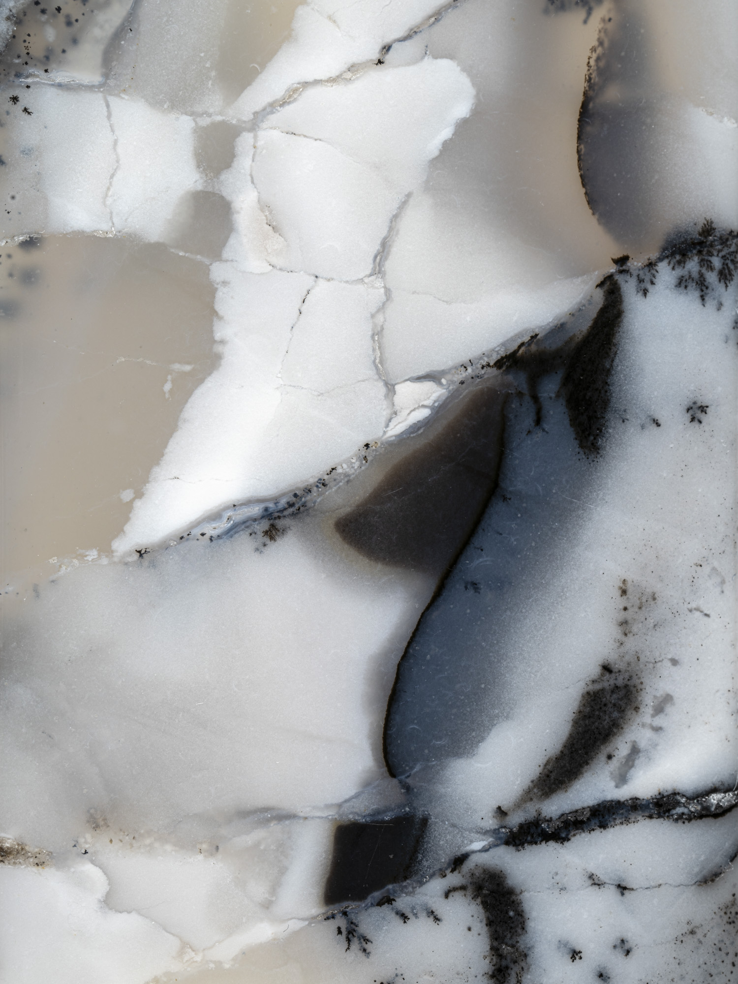Parral Dendritic Agate Mexico
