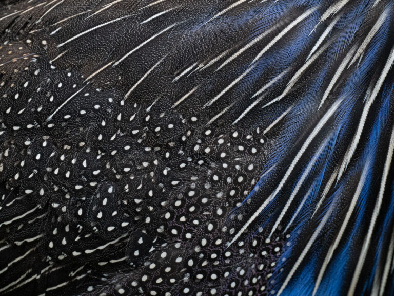 Patterns