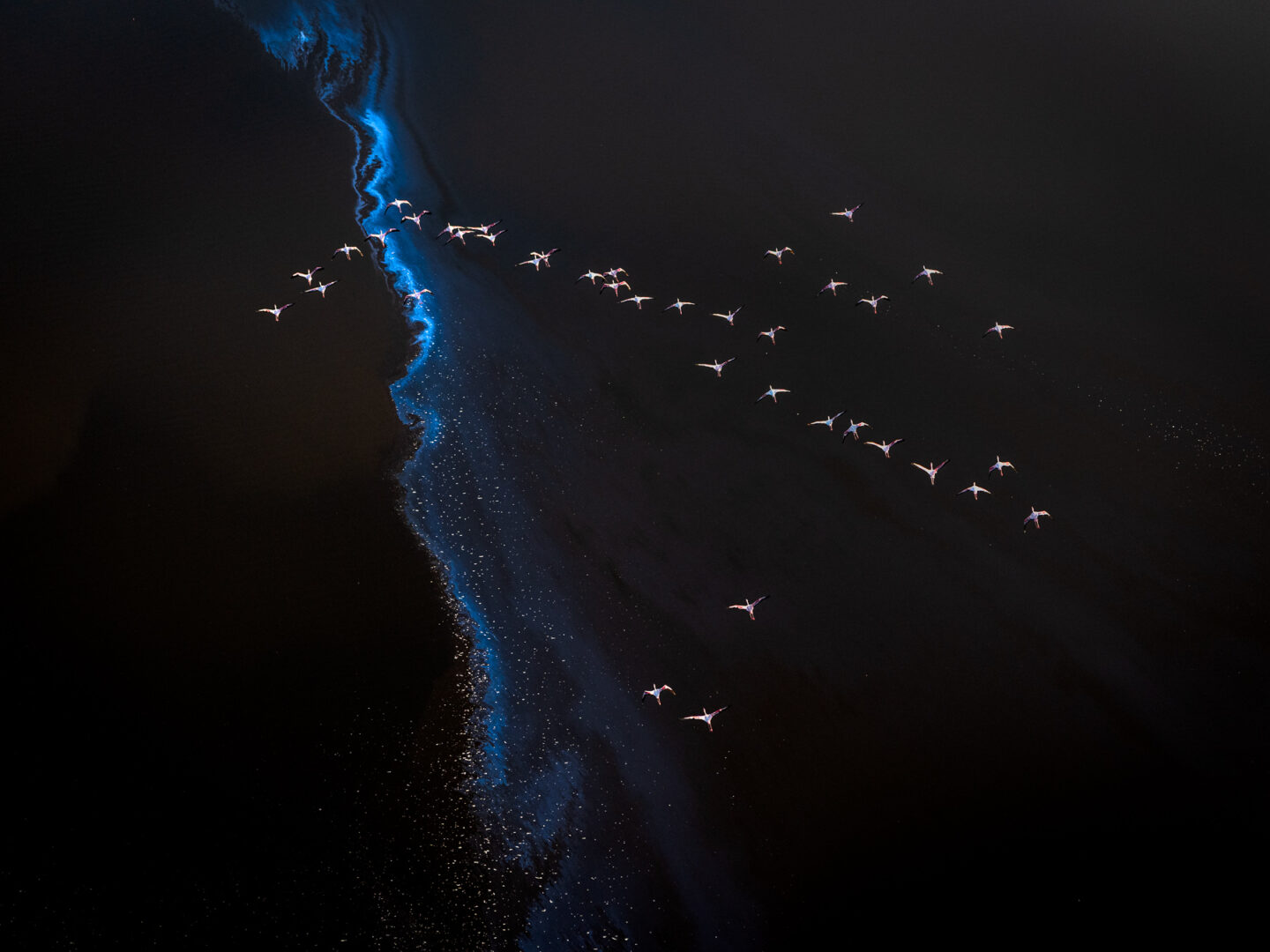 https://jonmccormack.com/wp-content/uploads/2025/07/FromAbove-1440x1080.jpg