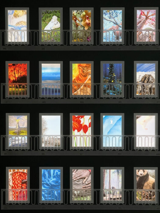 untitled-20250308-IMG_1835