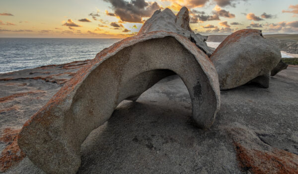 Separated from the mainland eleven thousand years ago, Kangaroo Island is Australia's Galapagos.