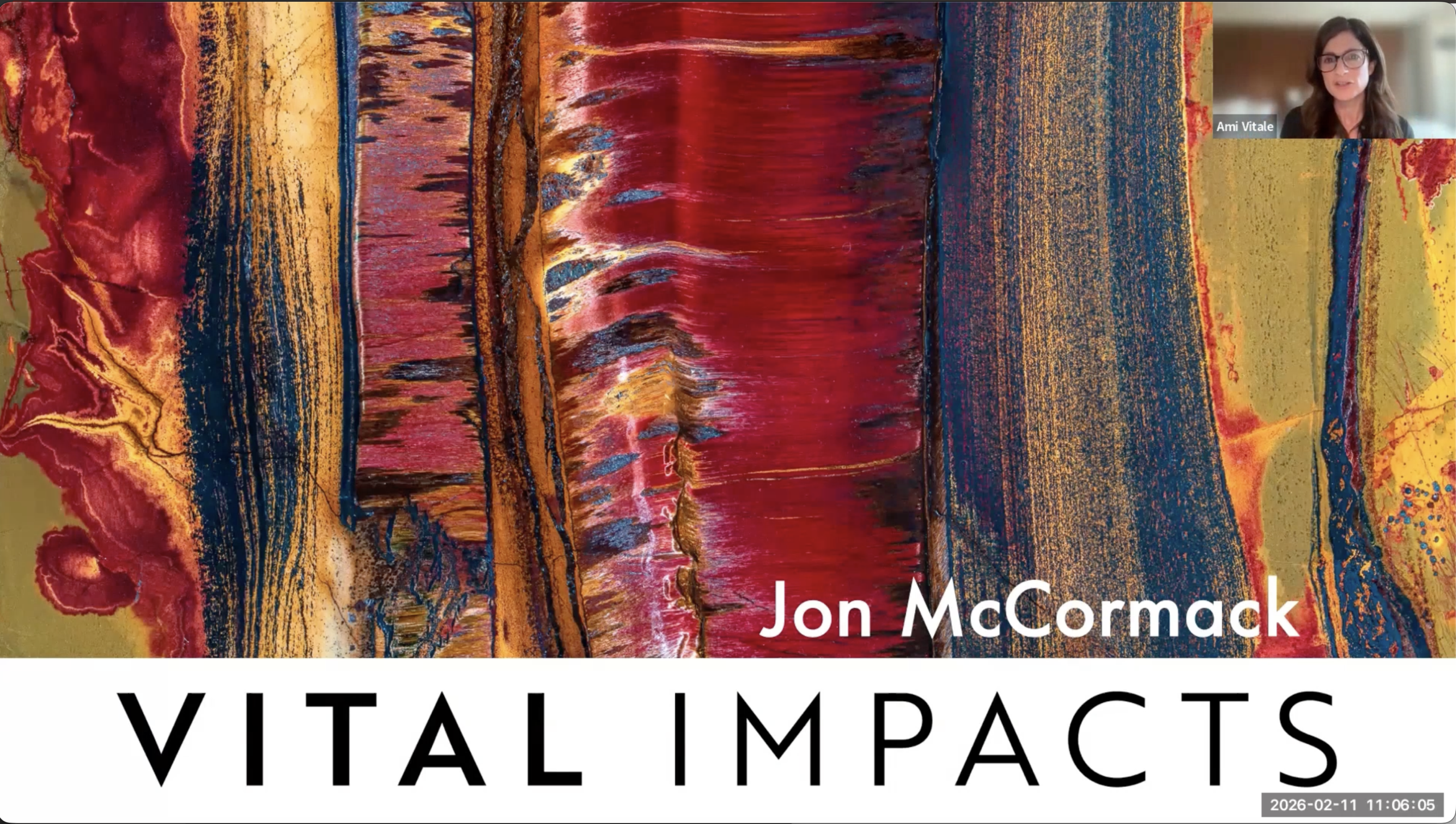 Vital Impacts screenshot with Ami Vitale in upper right.